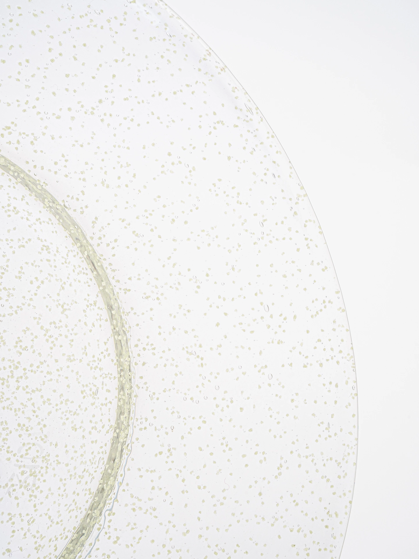 Assiette Plate – Image 3